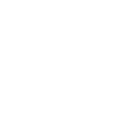 Weather icon