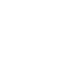 Weather icon